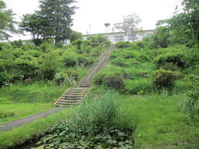 自転車置き場から昇降口に向かう階段